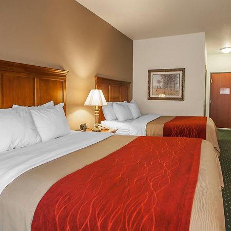 Comfort Inn & Suites Davenport - Quad Cities Exterior photo