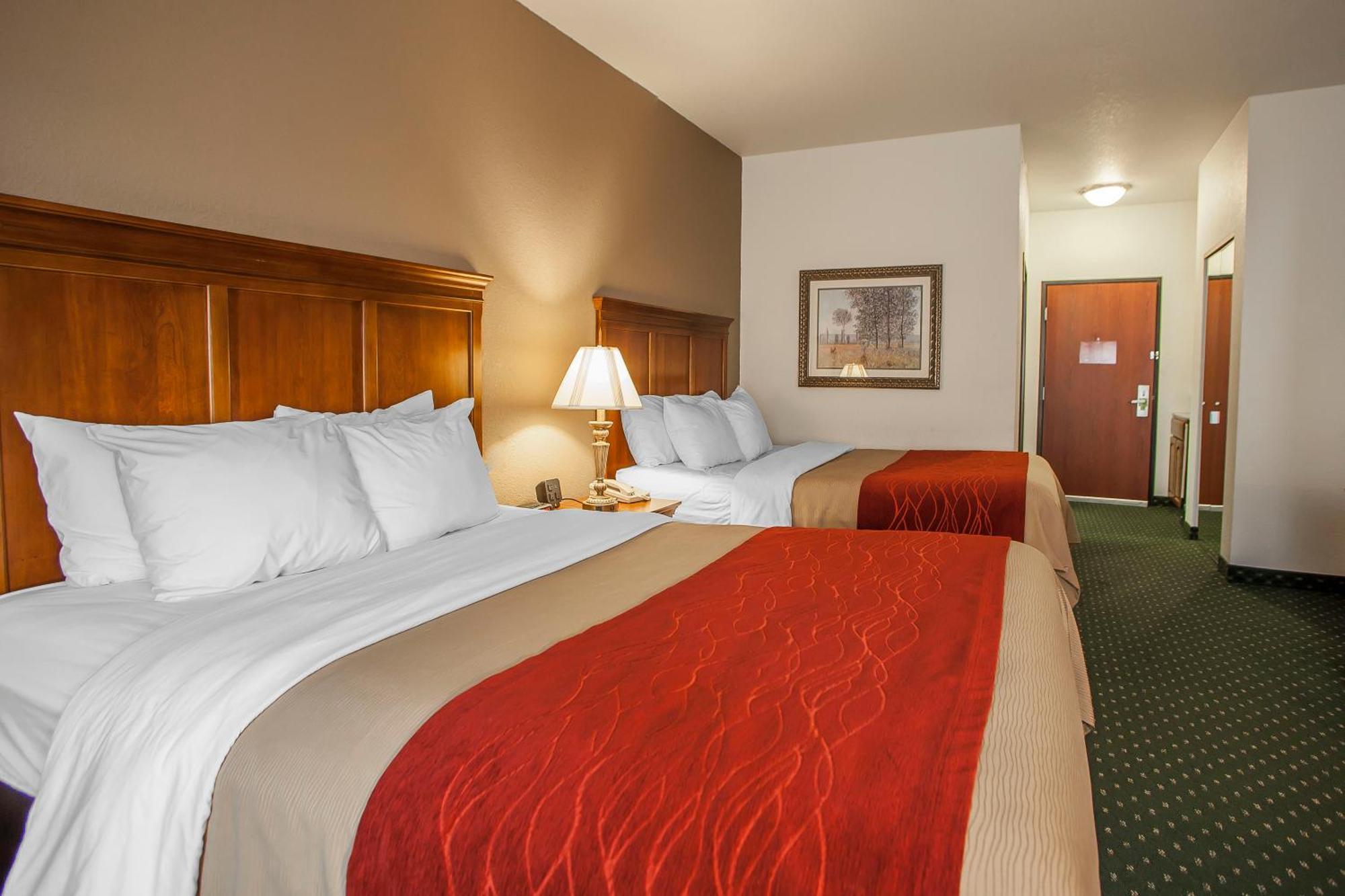 Comfort Inn & Suites Davenport - Quad Cities Exterior photo
